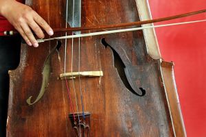 Sėkmingi mokyklos violončelininkų pasirodymai